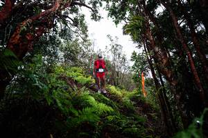 BIB: 
                            <button type="button" onclick="openModal(26203801)" class="btn btn-primary btn-sm float-right btn-popup" data-toggle="modal" data-target=".modal-high-quality">
                        <i class="fas fa-shopping-cart"></i> Add to Cart
                    </button>
                                            <button type="button" onclick="isThisMe(26203801, true)" class="btn btn-success btn-sm float-right btn-popup btn-isme hidden" data-toggle="tooltip" data-placement="bottom" title="นี่คือรูปของคุณใช่ไหม คลิกที่นี่เพื่อเอาเข้าอัลบั้ม">
                        <i class="fas fa-plus"></i> Add to album
                    </button>
                    <button type="button" onclick="isThisMe(26203801, false)" class="btn btn-warning btn-sm float-right btn-popup btn-isnotme hidden">
                        <i class="fas fa-ban"></i> Remove from album
                    </button>